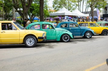 Foto - 12º Encontro de Carros Antigos