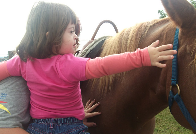 Esclarecimentos sobre a Associação Equestre e Terapêutica de Tietê
