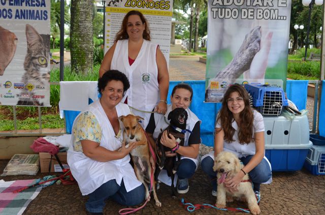 Segunda Feira de cães de gatos acontece neste sábado