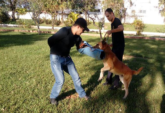 Guarda Municipal presta esclarecimentos sobre Canil do G.O.E