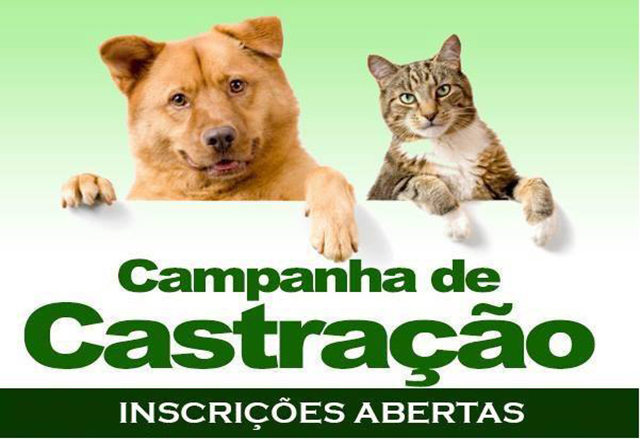 Continuam abertas as inscrições para castração de cães e gatos para a população de baixa renda