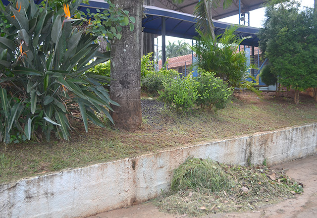 Cronograma de roçagem e limpeza das unidades escolares tem início