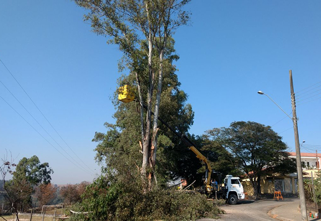Árvore que ameaçava cair em fios de alta tensão é cortada