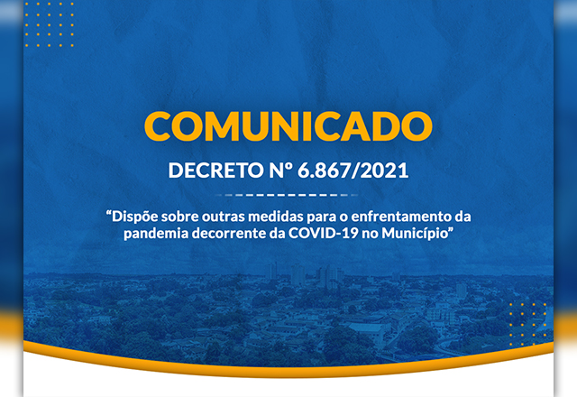 Decreto N° 6.867/2021