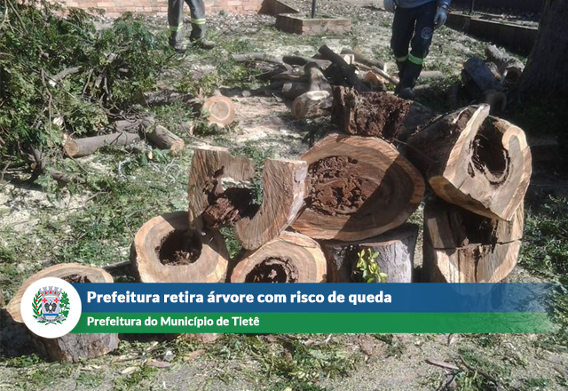 Prefeitura retira árvore com risco de queda