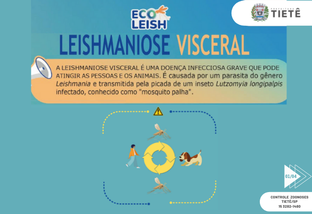 LEISHMANIOSE VISCERAL e LEISHMANIOSE CANINA