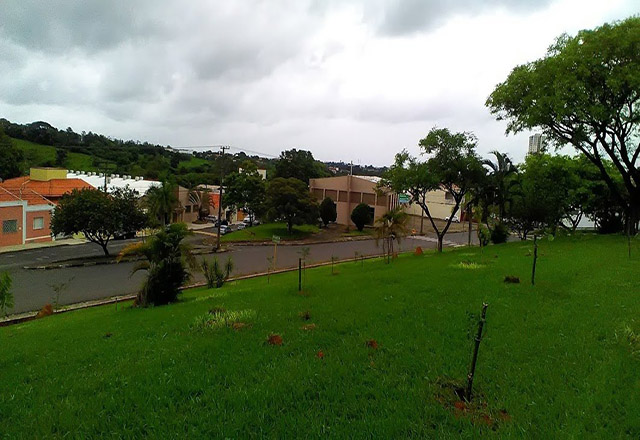 SEMADES completa a 1ª etapa do Programa de Arborização