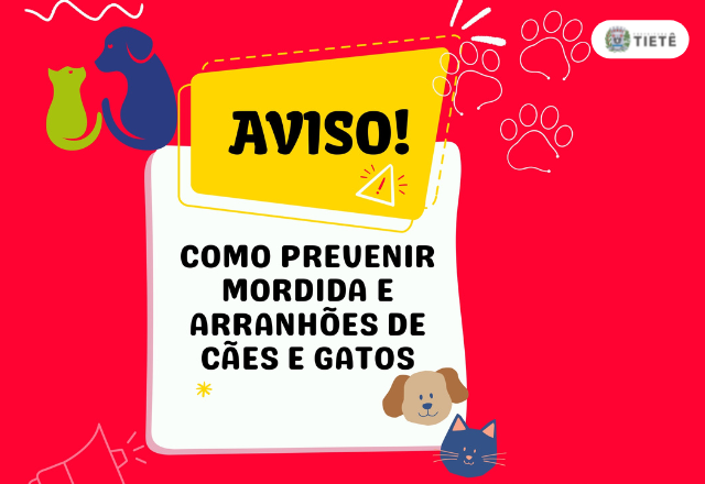 5 CHAVES PARA EVITAR MORDIDAS DE CÃES