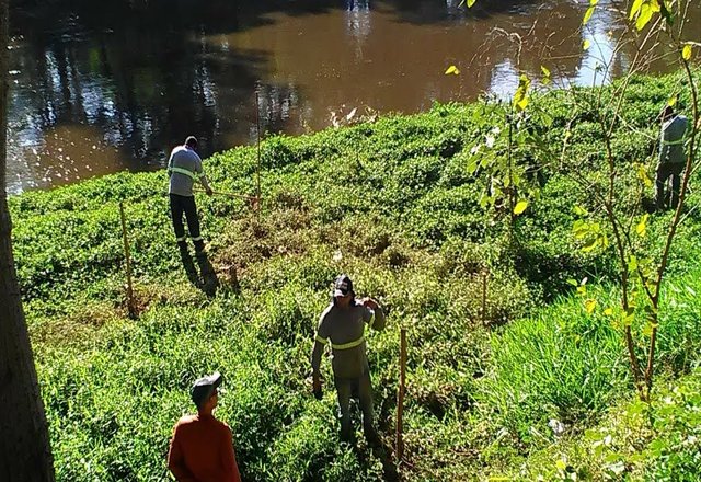 SEMADES realiza manutenção e replantio em Área Verde da Beira Rio