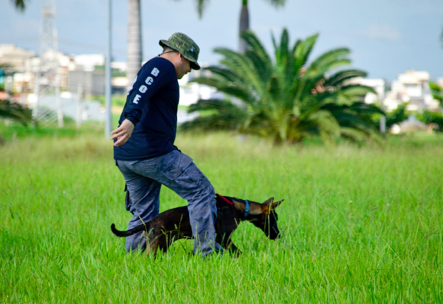Guardas Civis Municipais participam de curso de Busca e Captura