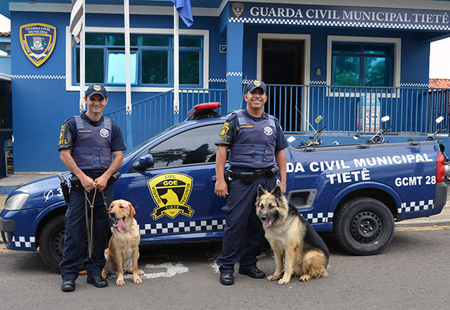 Ações com cães são o diferencial da GCM