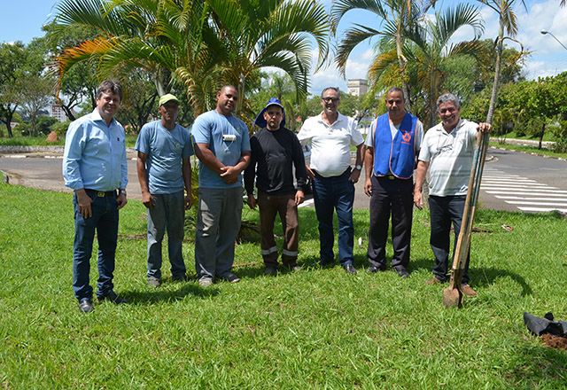 Prefeito Vlamir Sandei Acompanha plantio de mudas