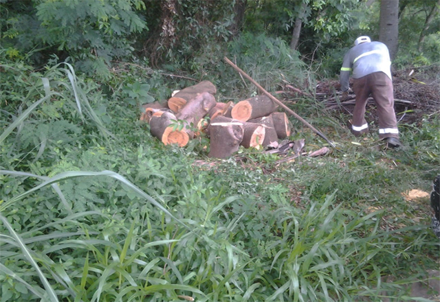 SEMADES e Secretaria de Serviços realizam reparos no Bairro Santa Maria