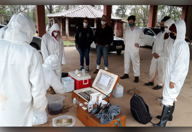 PARCERIA ESALQ/ USP CONTRIBUI COM ESTUDOS DAS ÁGUAS E BIODIVERSIDADE DO PARQUE ECOLÓGICO CORNÉLIO PIRES, EM SUA REVITALIZAÇÃO