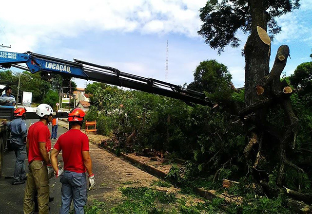 SEMADES intervém em árvores na rua Prefeito Elias de Moura