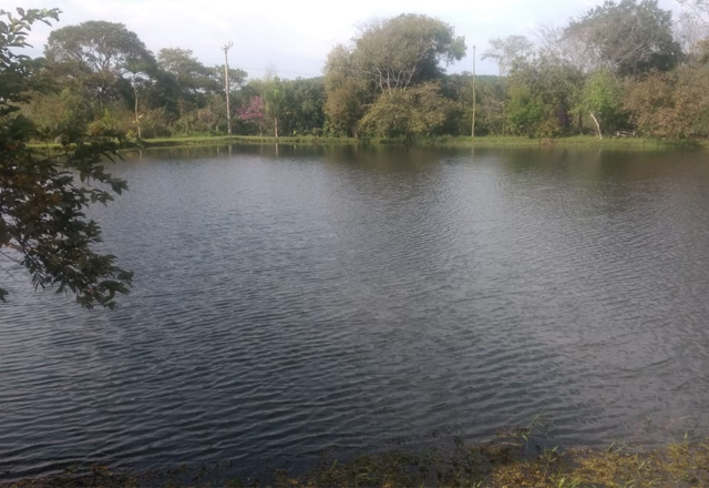 Prefeitura dá Início a Limpeza de Lagos no Parque Ecológico