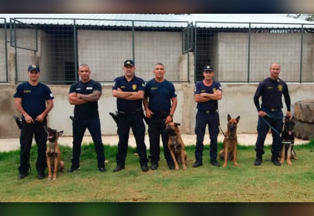 Canil da Guarda Municipal em integração com o canil de Porto Feliz